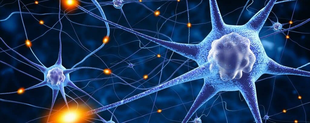 Investigação sobre o autismo: lançamento de dois ensaios clínicos de fase 3 na europa para crianças